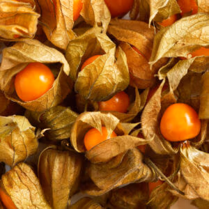 Cape Gooseberry (Aka Physalis)