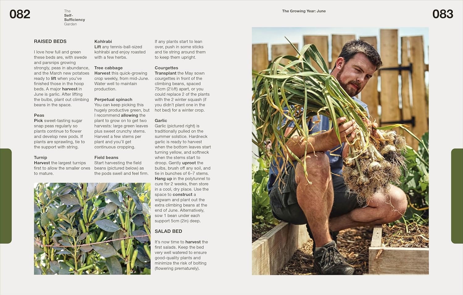 Harvest Self Sufficiency Garden