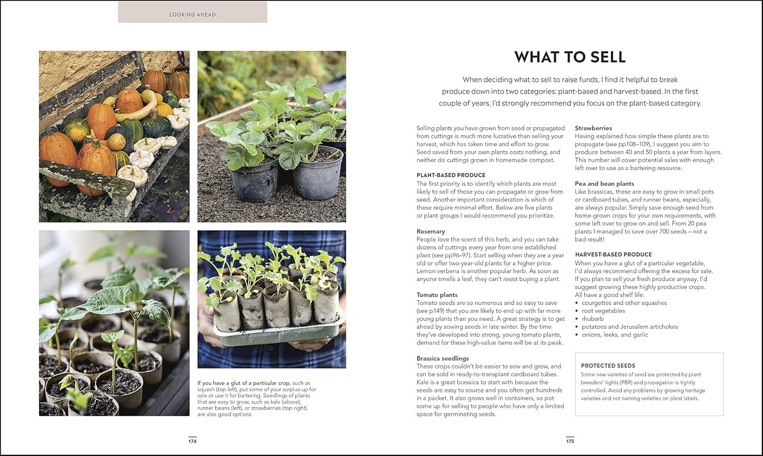 Grow Food For Free (Signed) - Image 11