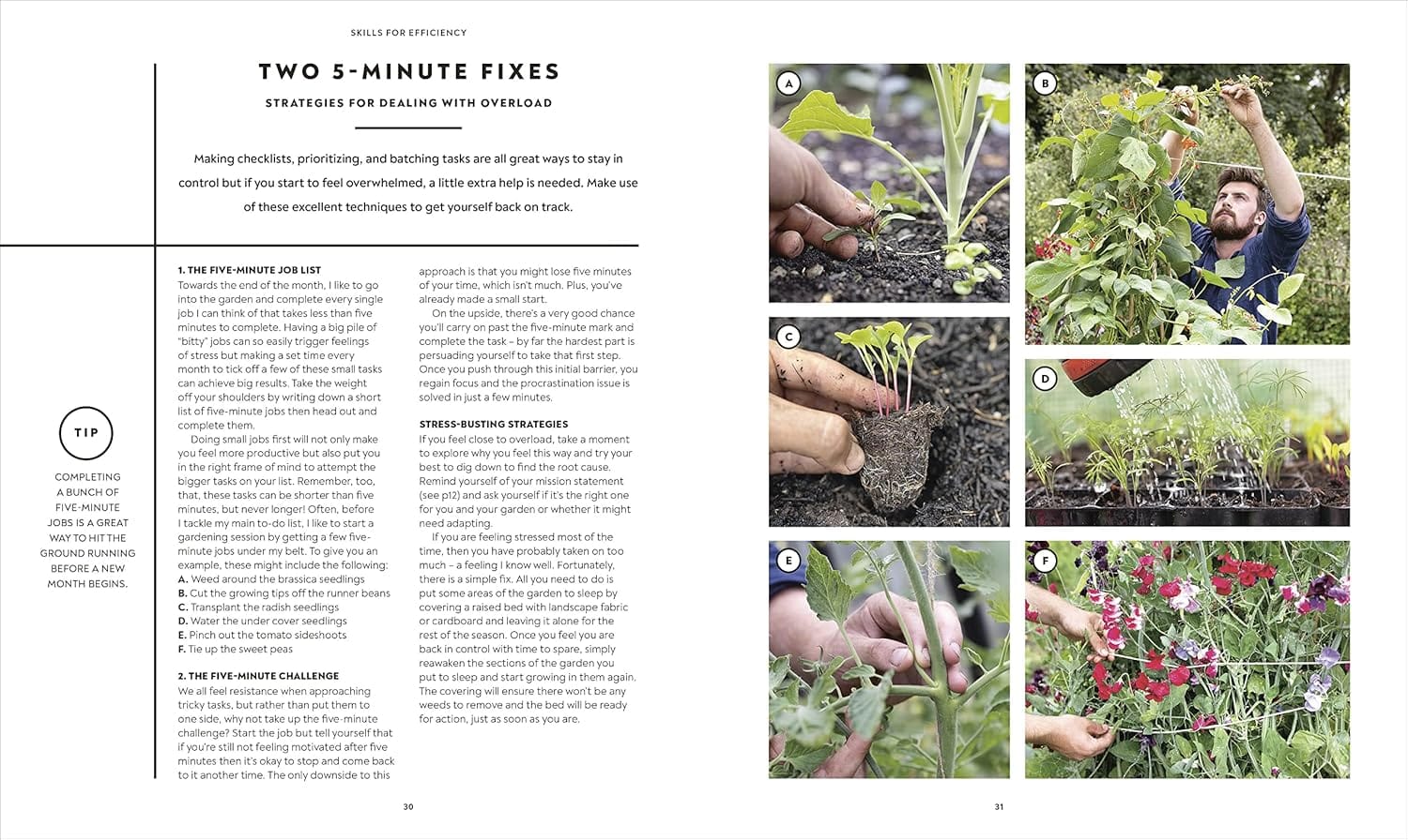 The Vegetable Growers Handbook (Signed) - Image 5