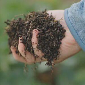 Composting & Hot Bed Masterclass