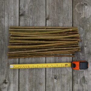 Hybrid Willow Cuttings