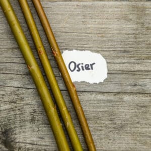 Osier Willow Cuttings