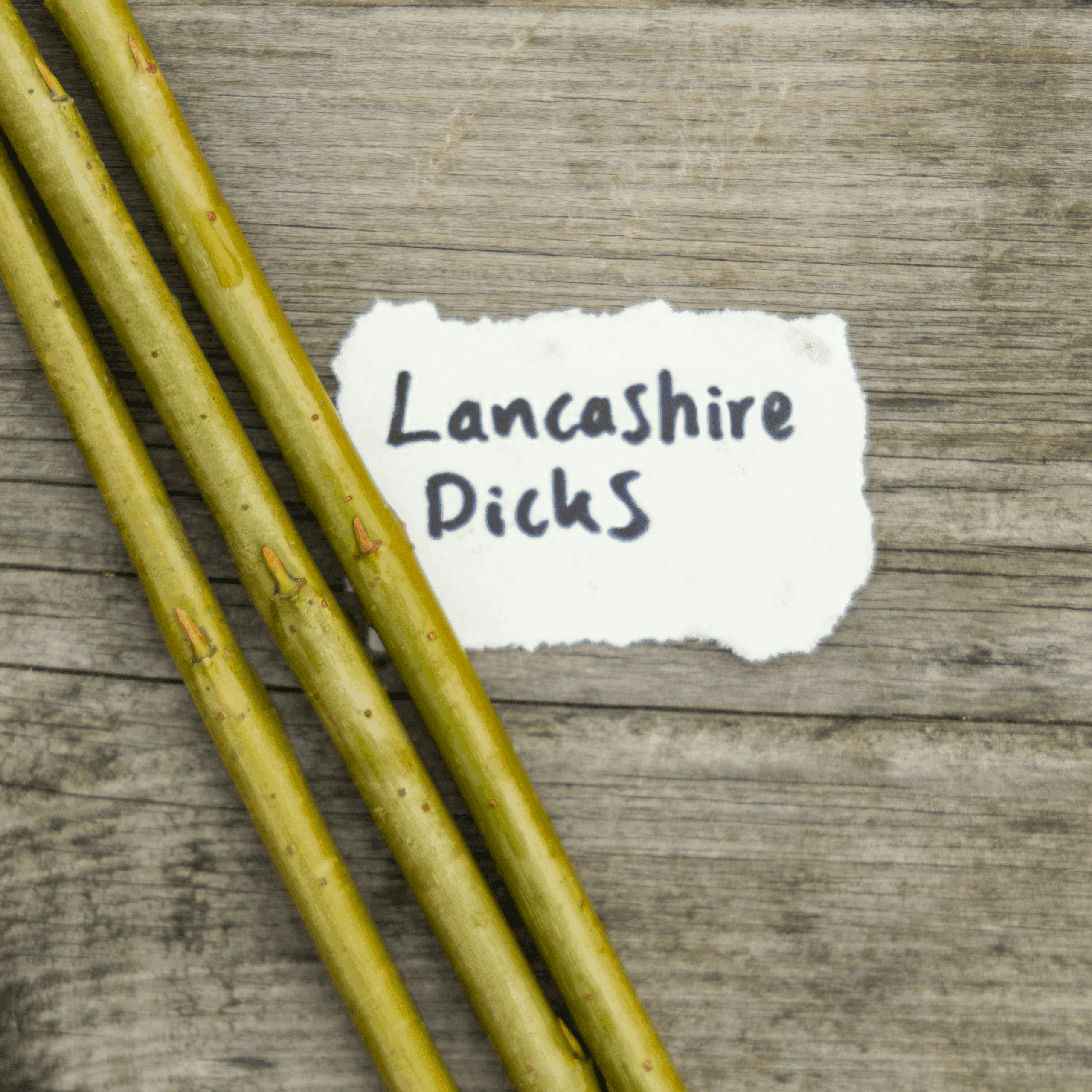 Lancashire Dicks Willow Cuttings