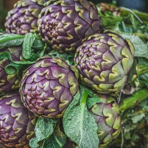Globe Artichoke 'Romanesco'