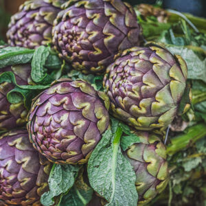 Globe Artichoke 'Romanesco'