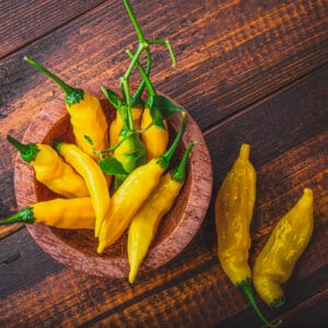 Chilli 'Lemon Drop'