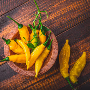 Chilli 'Lemon Drop'